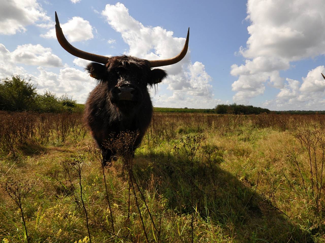 Archieffoto: Ben Saanen