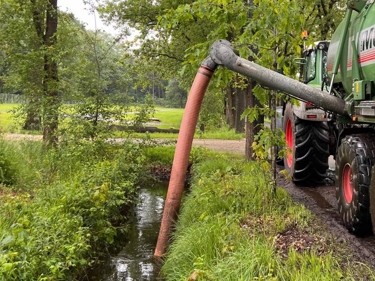 https://api.omroepbrabant.nl/img/f/$width$/$height$/0.34/0.67/bWVkaWEvcHJvZC80NDc4NTI2LmpwZz9zdj0yMDE5LTA3LTA3JnN0PTIwMjAtMDEtMDFUMDAlM0EwMCUzQTAwWiZzZT0yMDQwLTAxLTAxVDAwJTNBMDAlM0EwMFomc3I9YiZzcD1yJnNpZz12dEtaa21DRmZFdiUyRmNKSVhKUHJOJTJCU0tzbEVObU44ajFGb21KJTJCbWJGRFhRJTNE