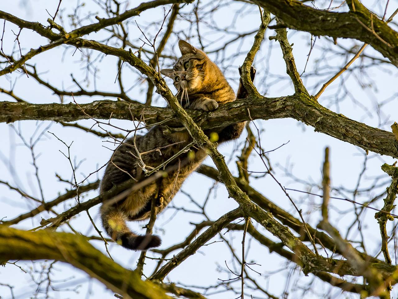 Omroep Brabant