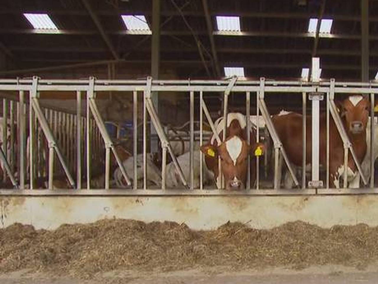 (foto: Omroep Brabant).