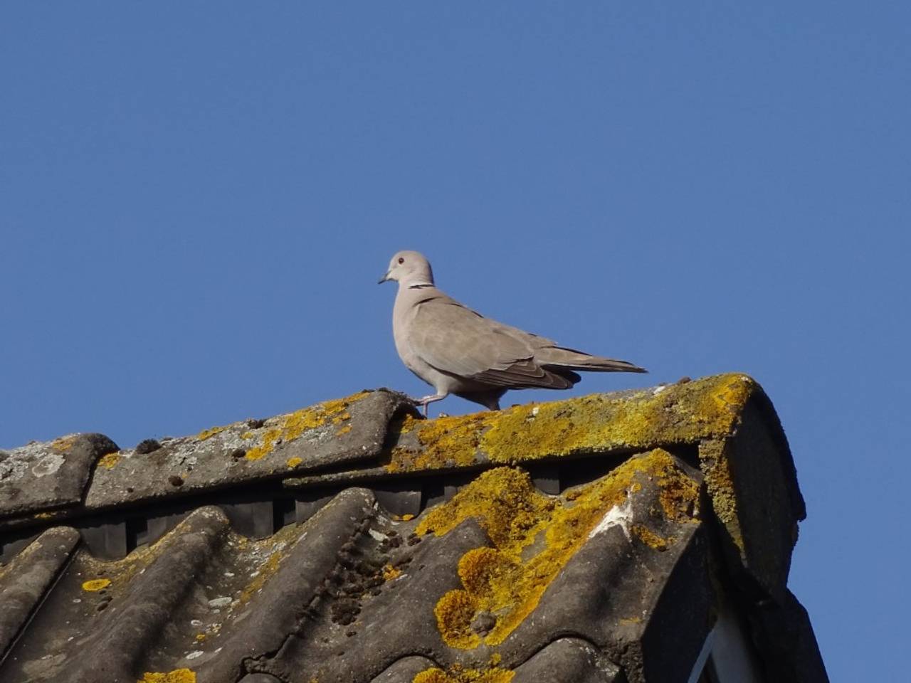 Foto: Anja Bastiaansen