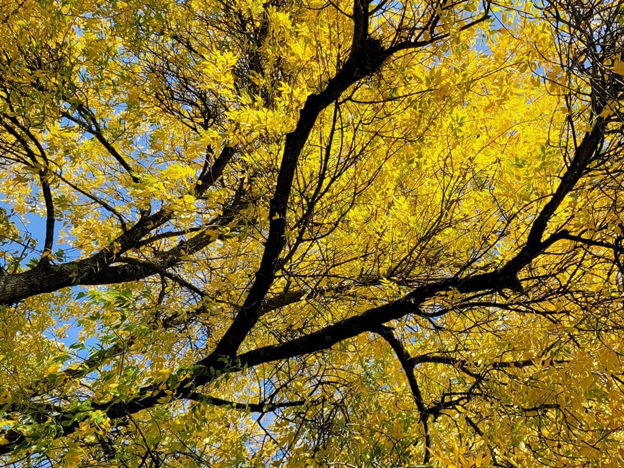 Foto: Shyamen Bollen.