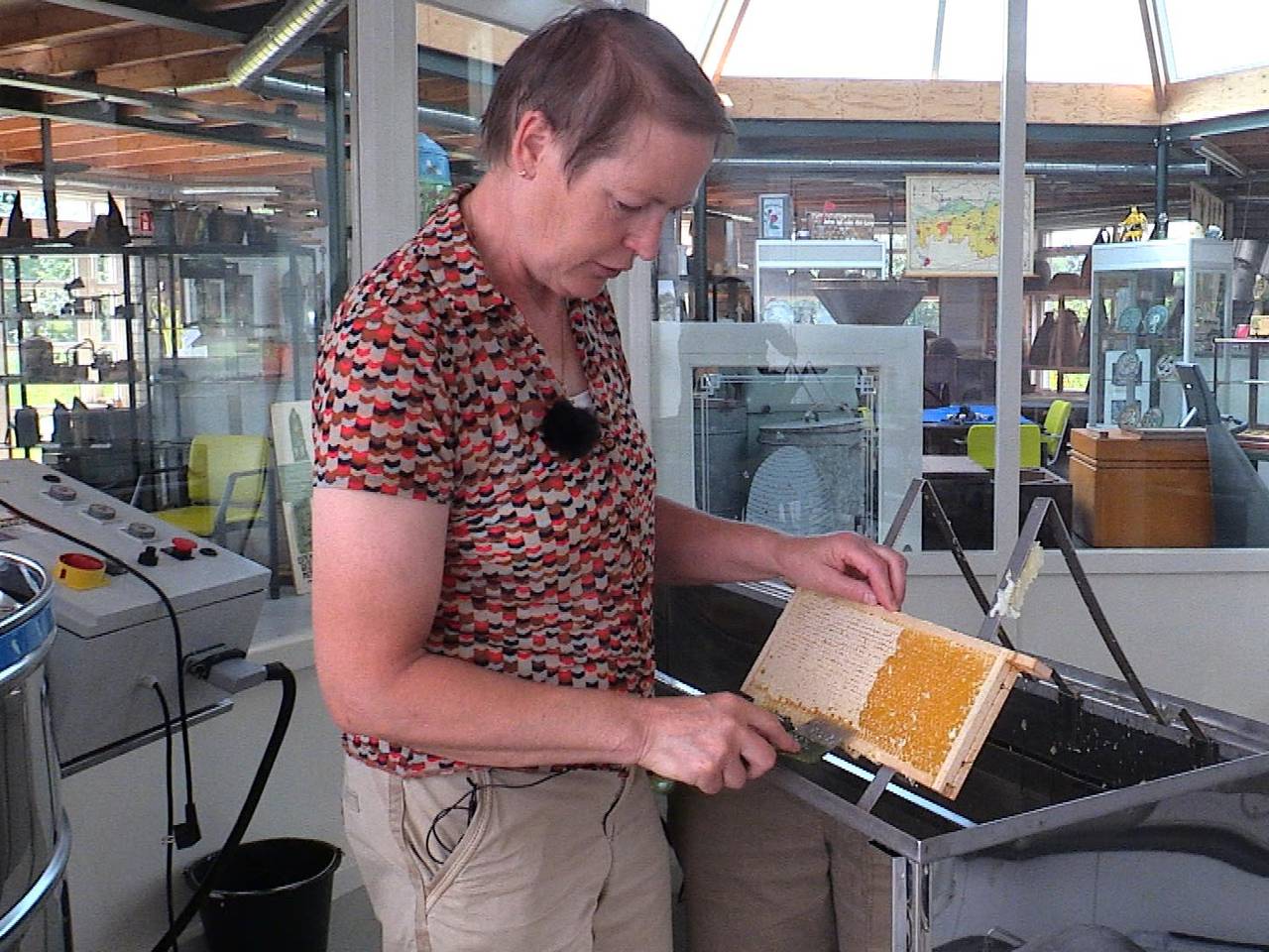 Thea en Robert doen alles voor gezonde bijen;'wij kunnen veel van ze leren'
