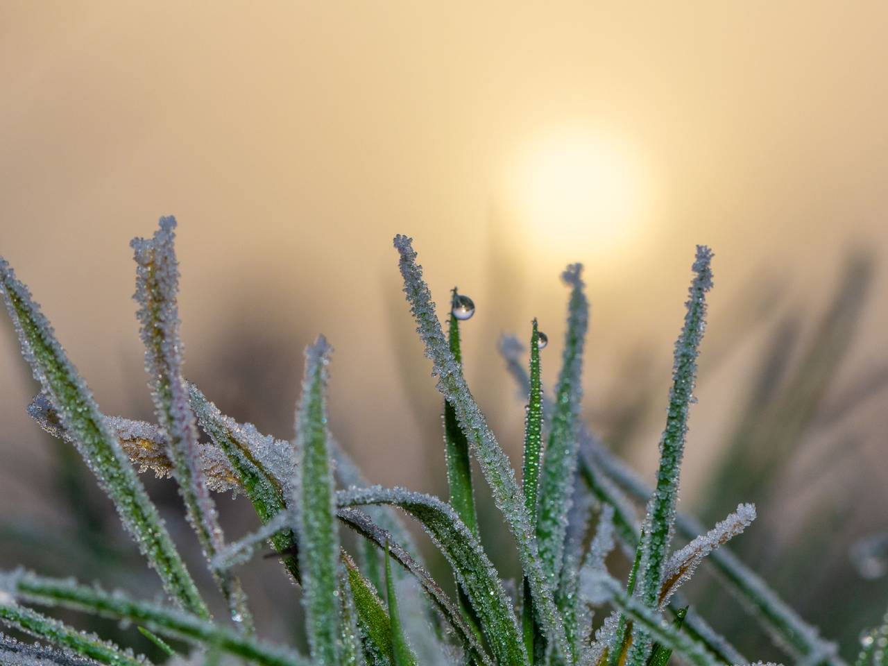 Archieffoto: Ab Donker