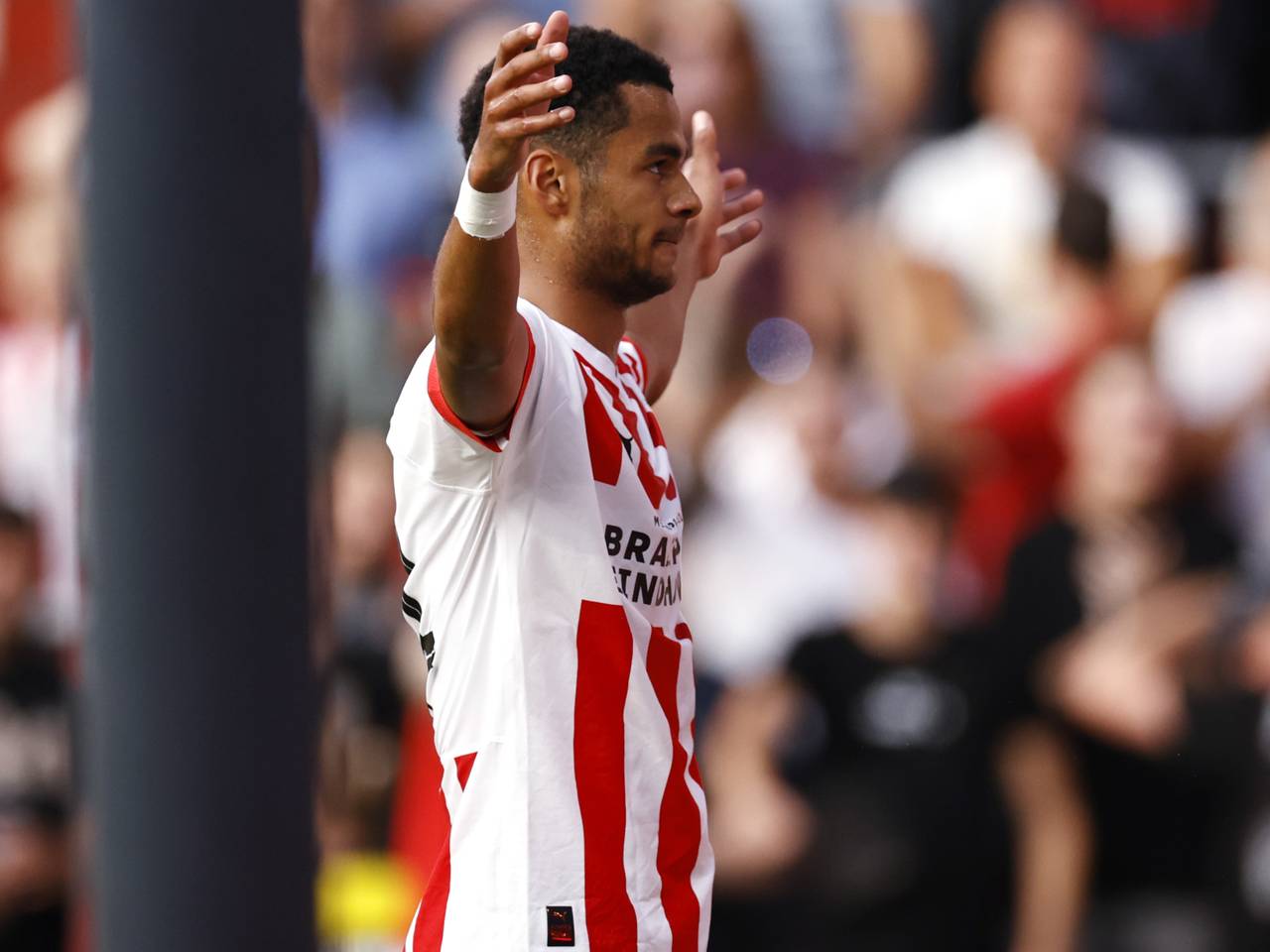 WEB_PSV_GAKPO.Copy.01.transfer