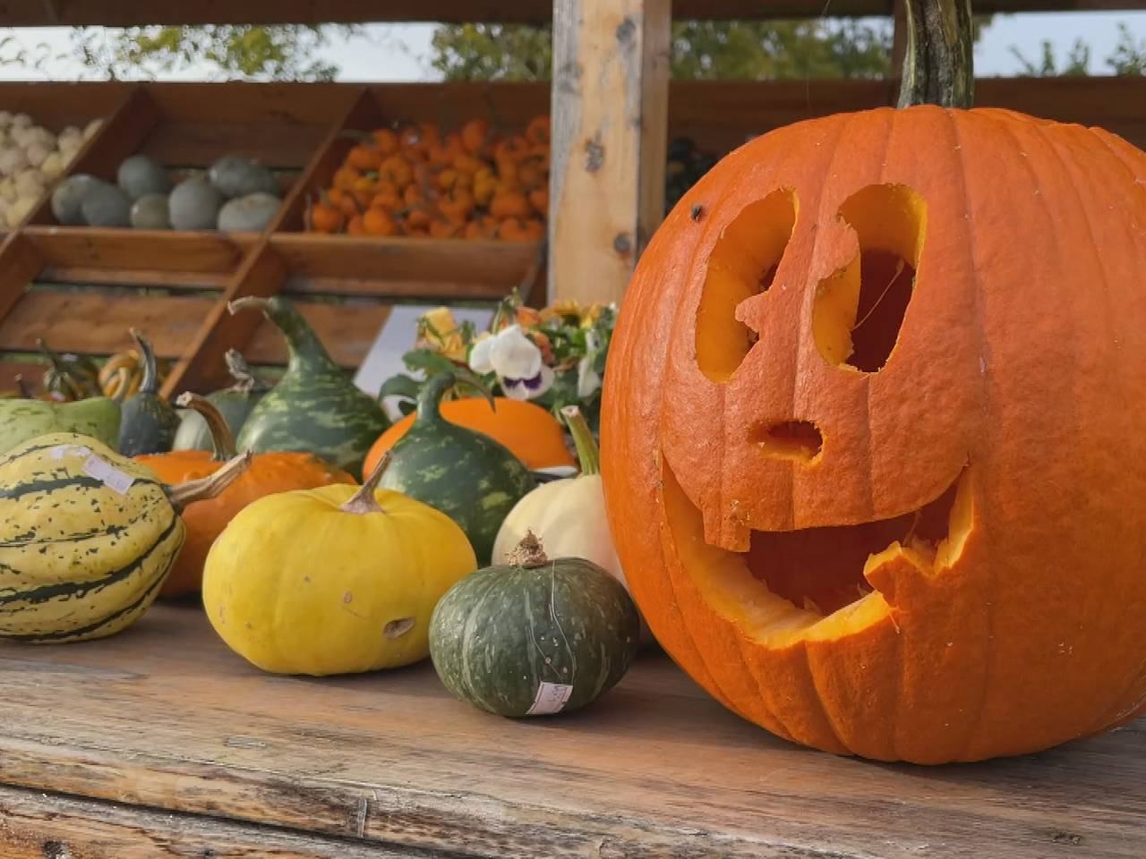 Van jong tot oud: hier kun je griezelen in Brabant (Archieffoto)