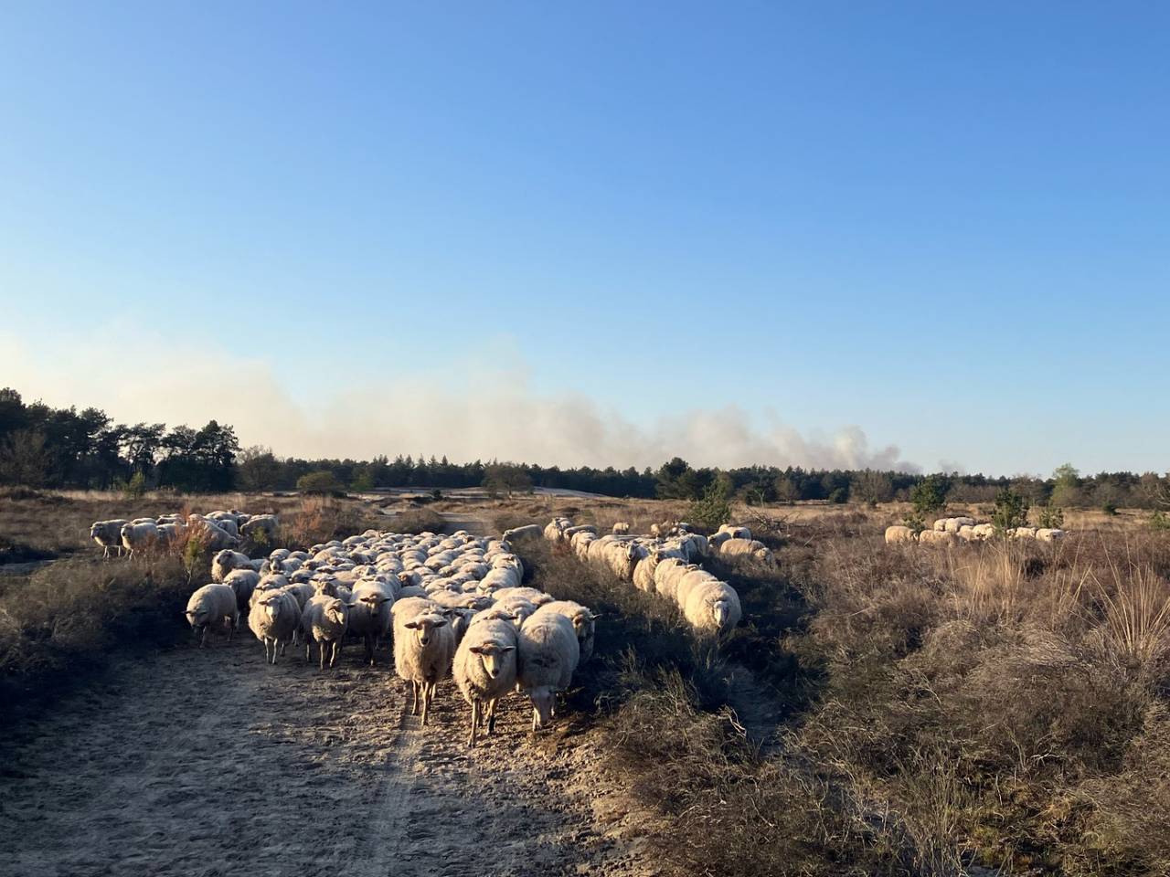 https://api.omroepbrabant.nl/img/f/$width$/$height$/0.4/0.71/bWVkaWEvcHJvZC80Njc0ODUwLmpwZz9zdj0yMDE5LTA3LTA3JnN0PTIwMjAtMDEtMDFUMDAlM0EwMCUzQTAwWiZzZT0yMDQwLTAxLTAxVDAwJTNBMDAlM0EwMFomc3I9YiZzcD1yJnNpZz1wcExvJTJGZFQ3MlNIYmp5dHNNRWFlOGliWGp6aDJZbnhxRUFEJTJCeGo2ZCUyQllrJTNE