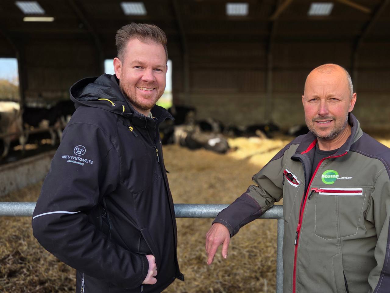 Bommen in weiland dwarsbomen duurzame plannen