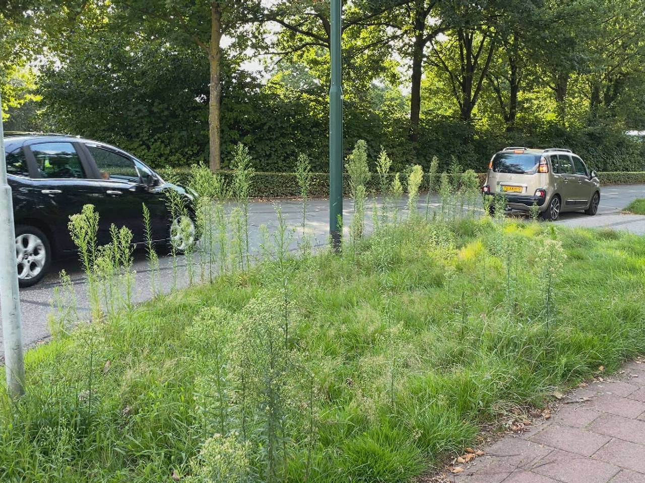 Omroep Brabant