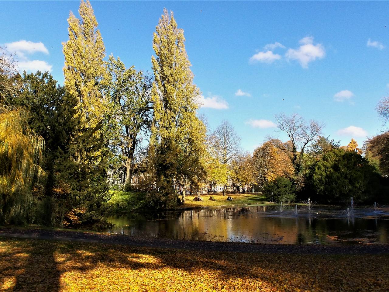 Breda wil meer groen zien, zoals in Park Valkenberg in Breda. (Archieffoto: Henk Voermans)