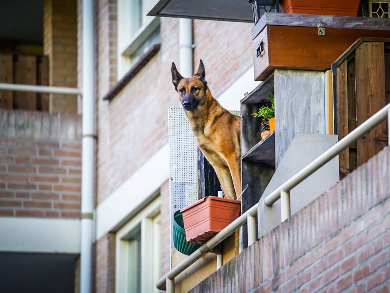 Omroep Brabant