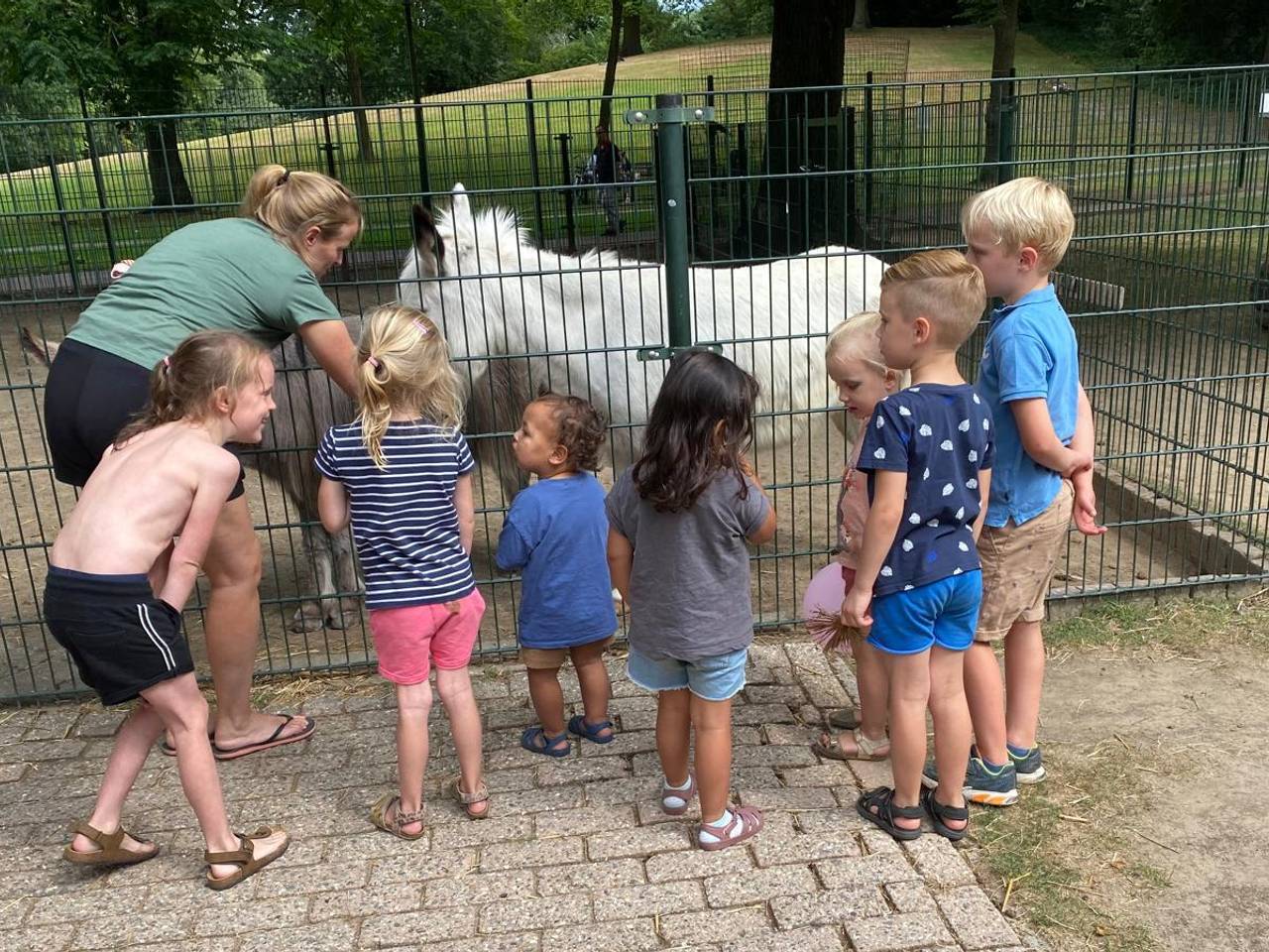 https://api.omroepbrabant.nl/img/f/$width$/$height$/0.46/0.35/bWVkaWEvcHJvZC80NDc5NDIwLmpwZz9zdj0yMDE5LTA3LTA3JnN0PTIwMjAtMDEtMDFUMDAlM0EwMCUzQTAwWiZzZT0yMDQwLTAxLTAxVDAwJTNBMDAlM0EwMFomc3I9YiZzcD1yJnNpZz00bU9kQUZZZ1F0MmVwUWNmdDZEdEFsYmFENEhLY0txRFByRmRRSno3YlRBJTNE