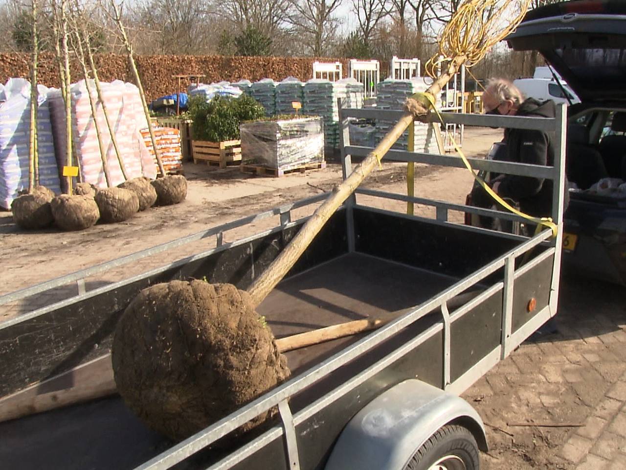 Drukte bij de boomkwekerij.