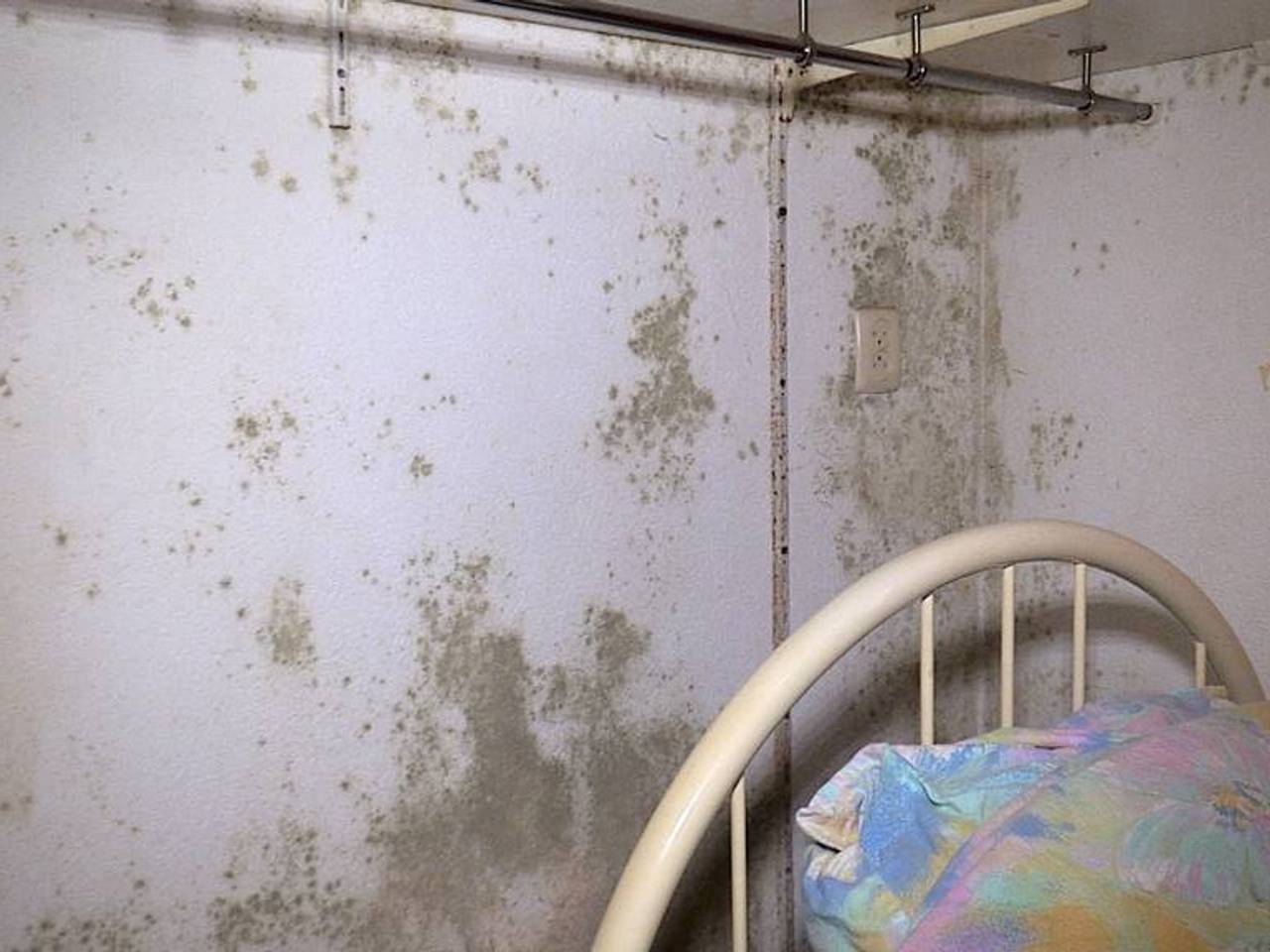 De schimmel zit bij deze melder zelfs in de slaapkamer (foto: Omroep Brabant).