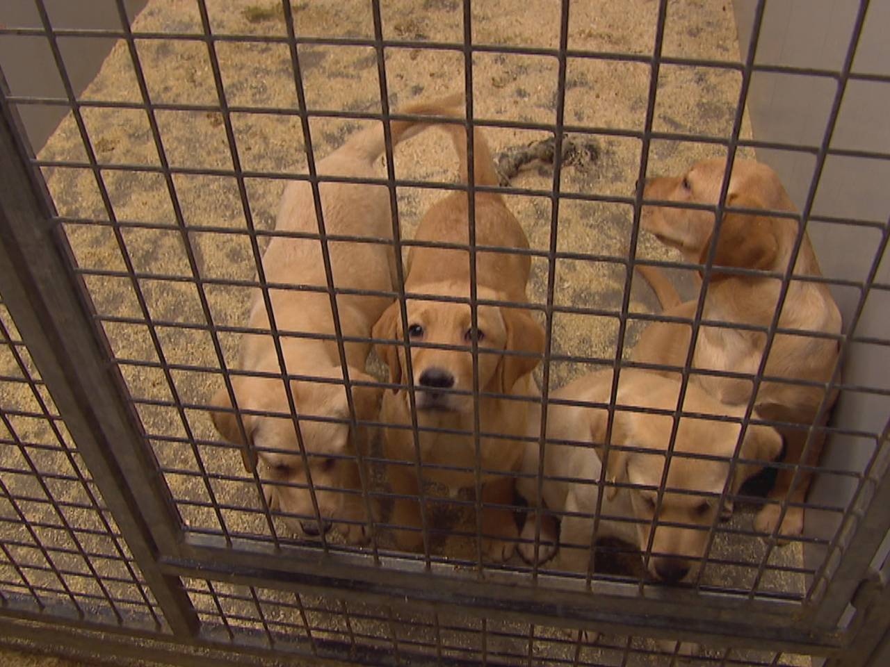 Foto: Omroep Brabant