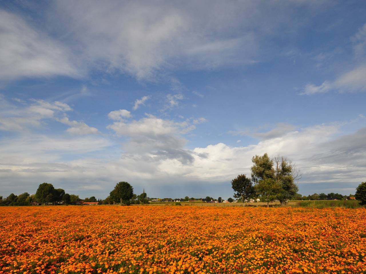 Het wordt mooi herfstweer (foto: Ben Saanen).