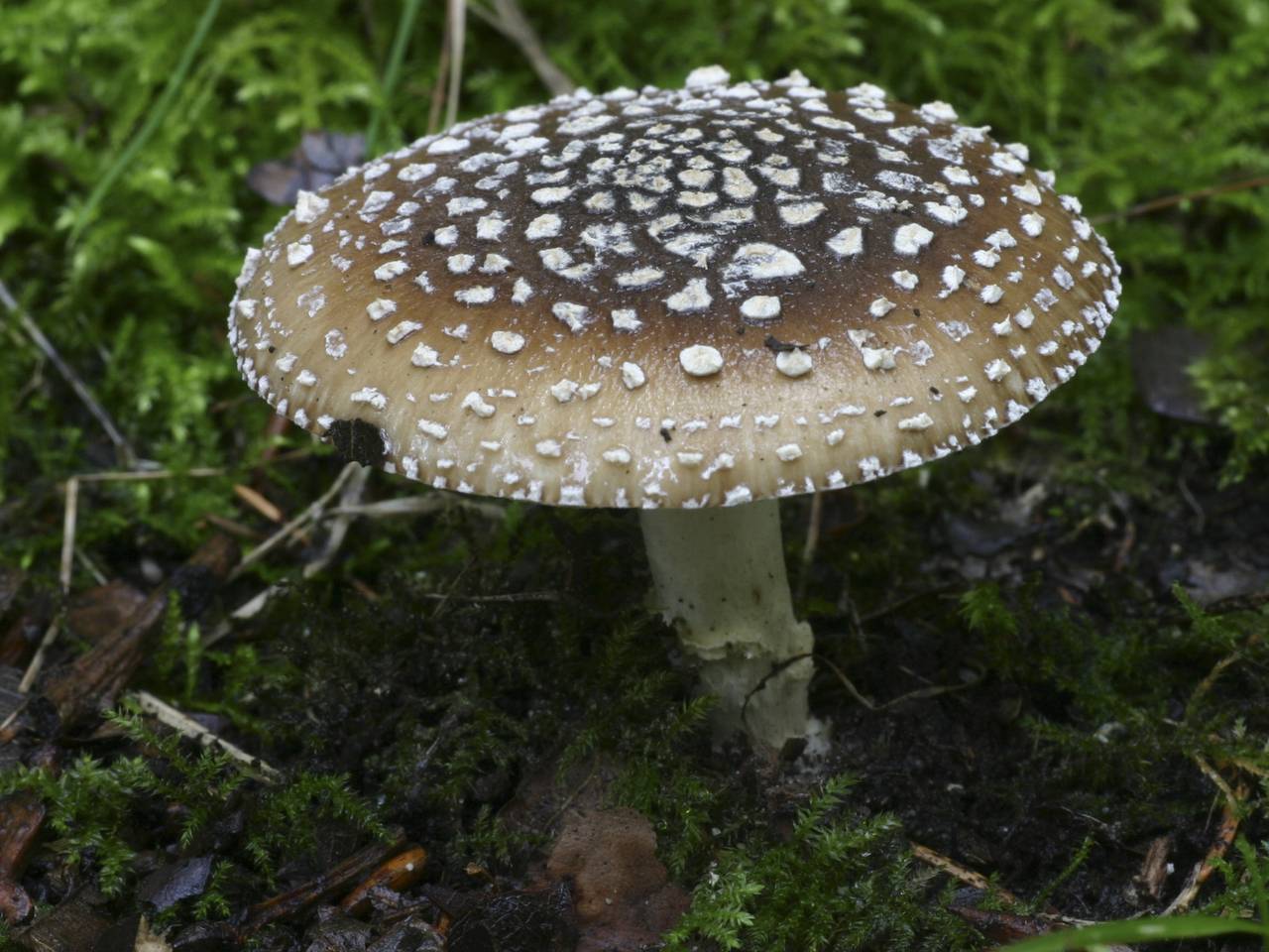Omroep Brabant