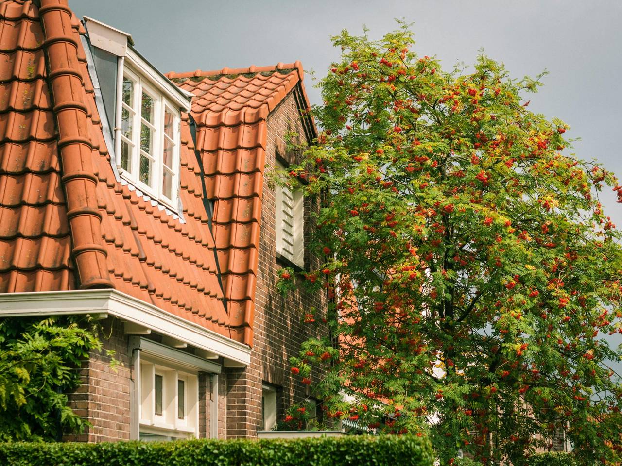 foto: Pexel/Vasily Kleymenov