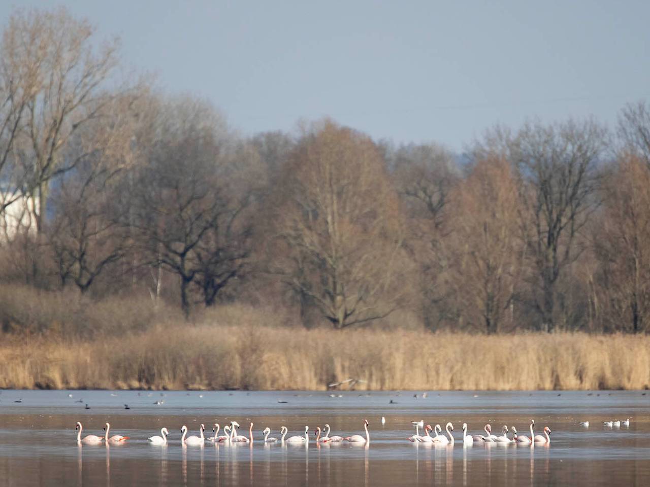 Omroep Brabant
