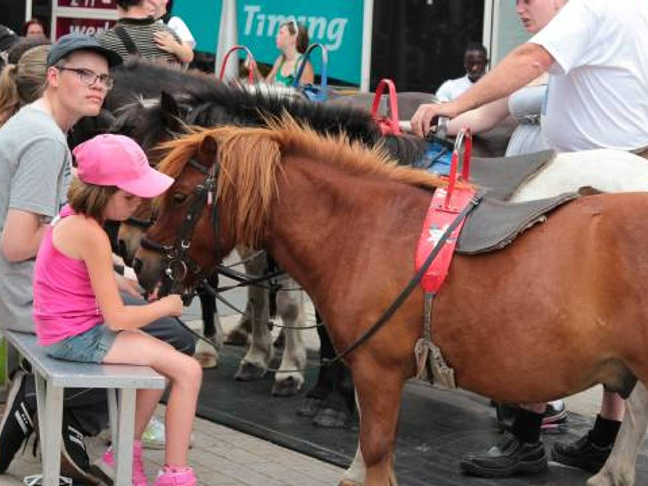 Een pony op de Tilburgse kermis. (foto: Twan Spierts).