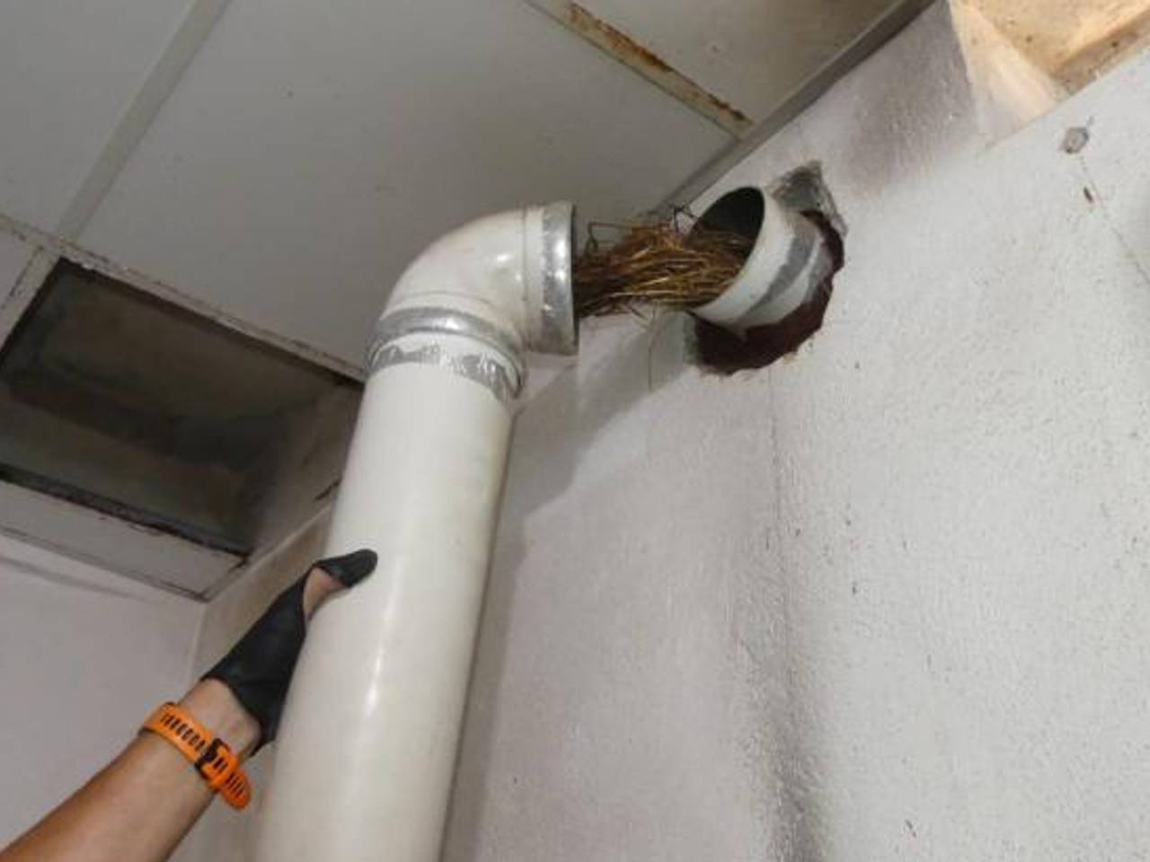 Een vogelnestje in de afvoer van de gasboiler. (foto: Policia Nacional)