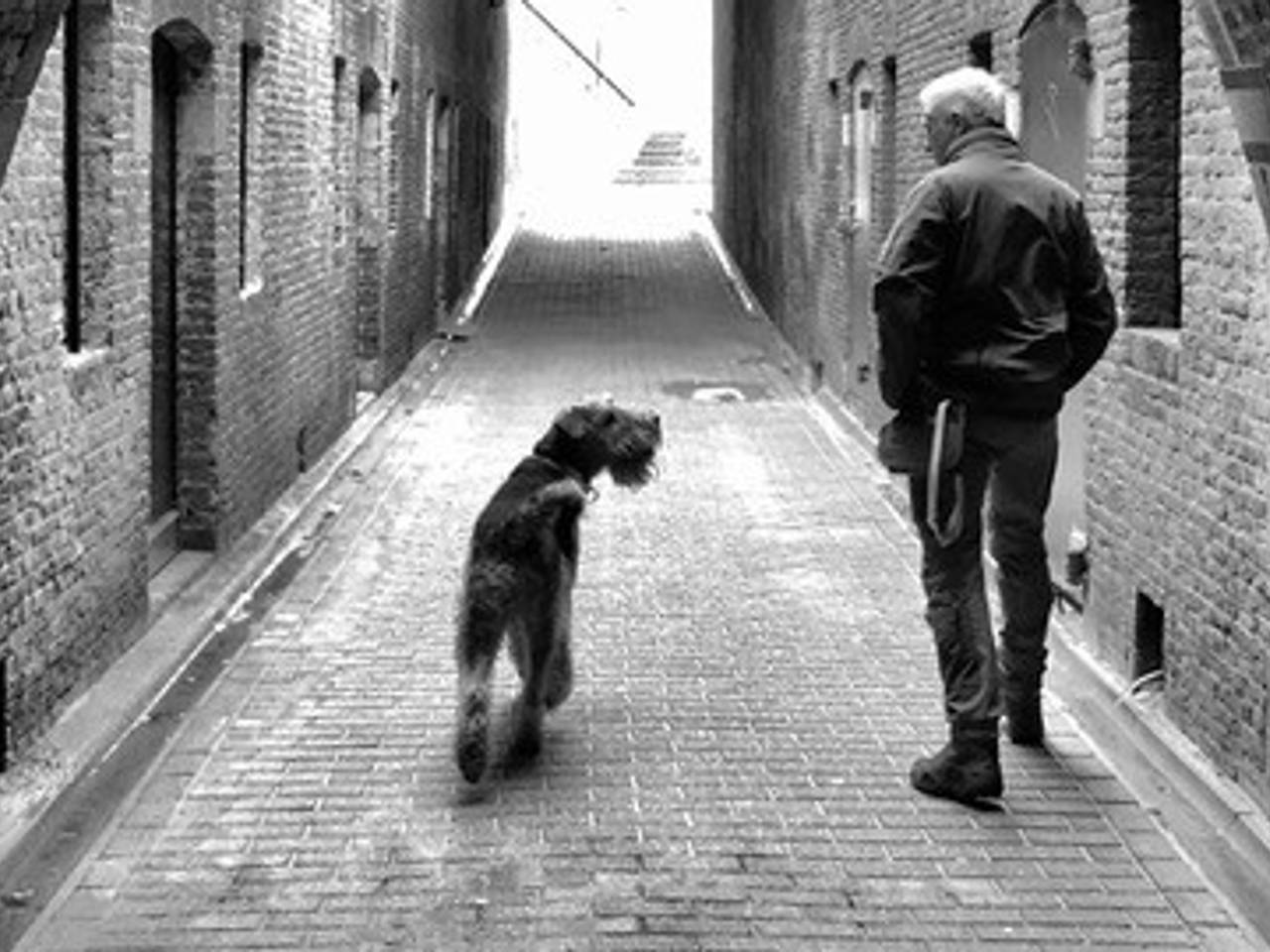 Robbie en zijn hulphond Knoet (privéfoto)