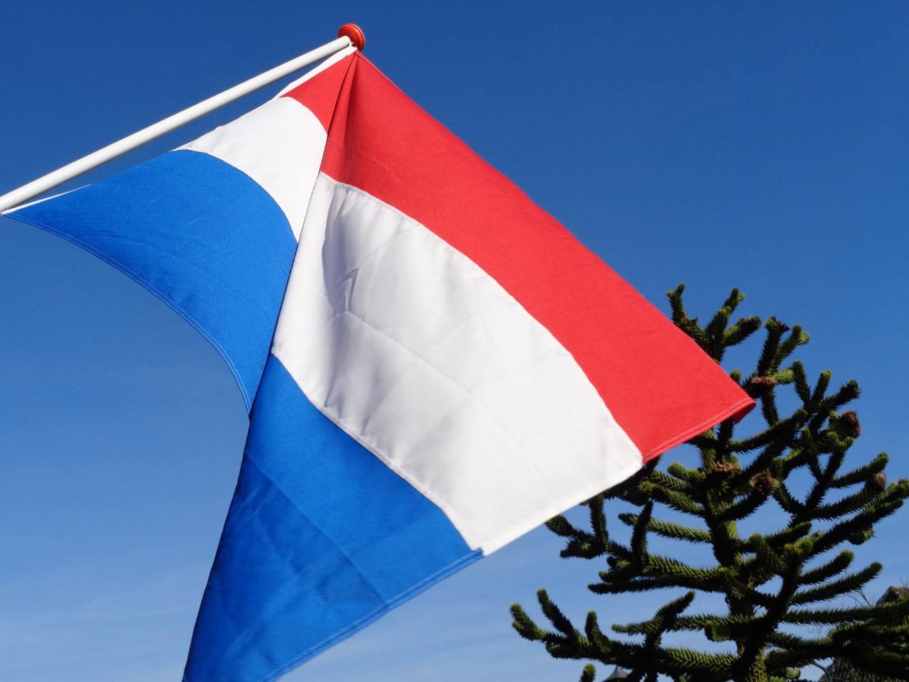 Foto: Anja Bastiaansen.