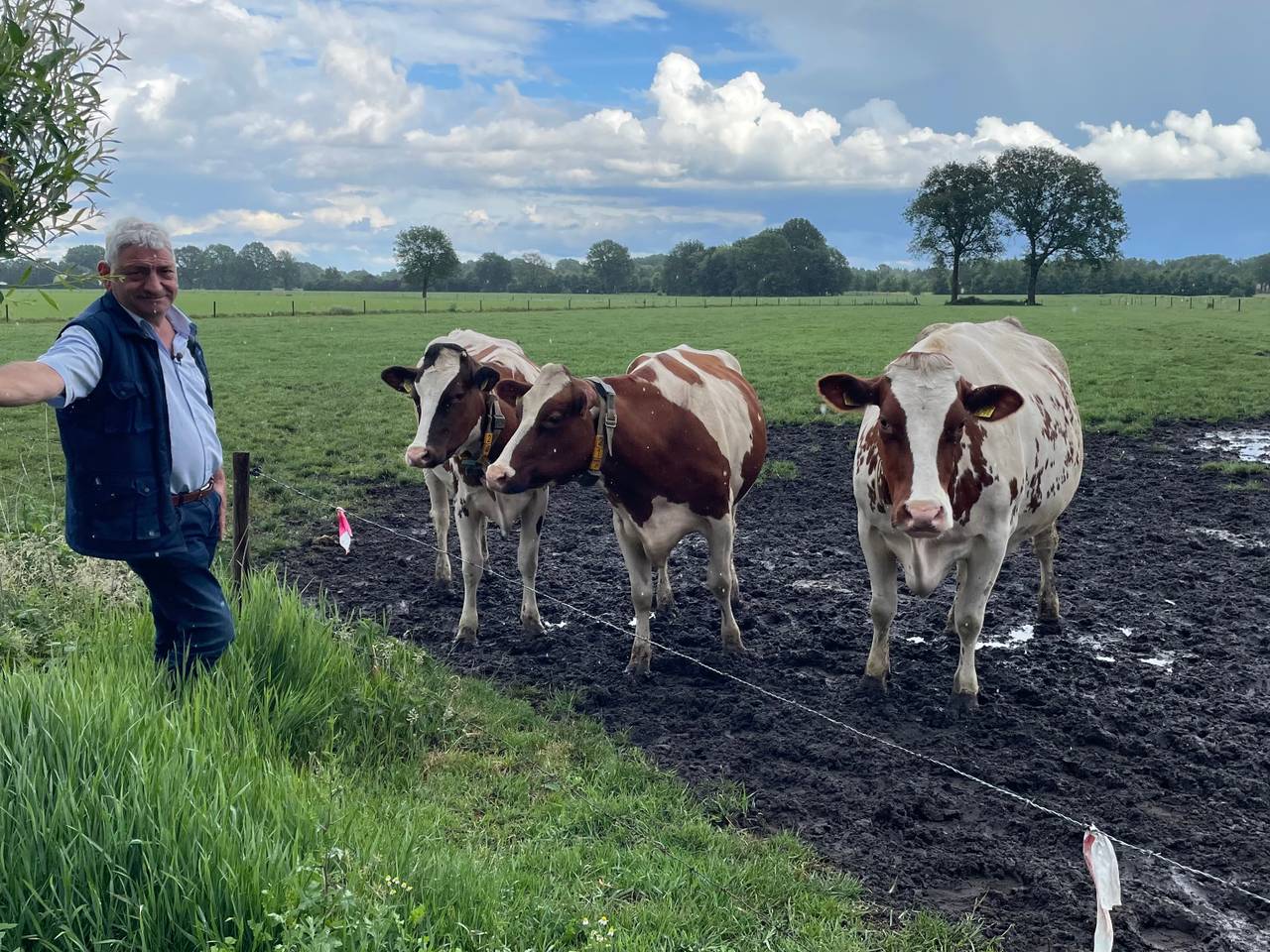 Boer Hans bij zijn koeien (foto: Omroep Brabant)