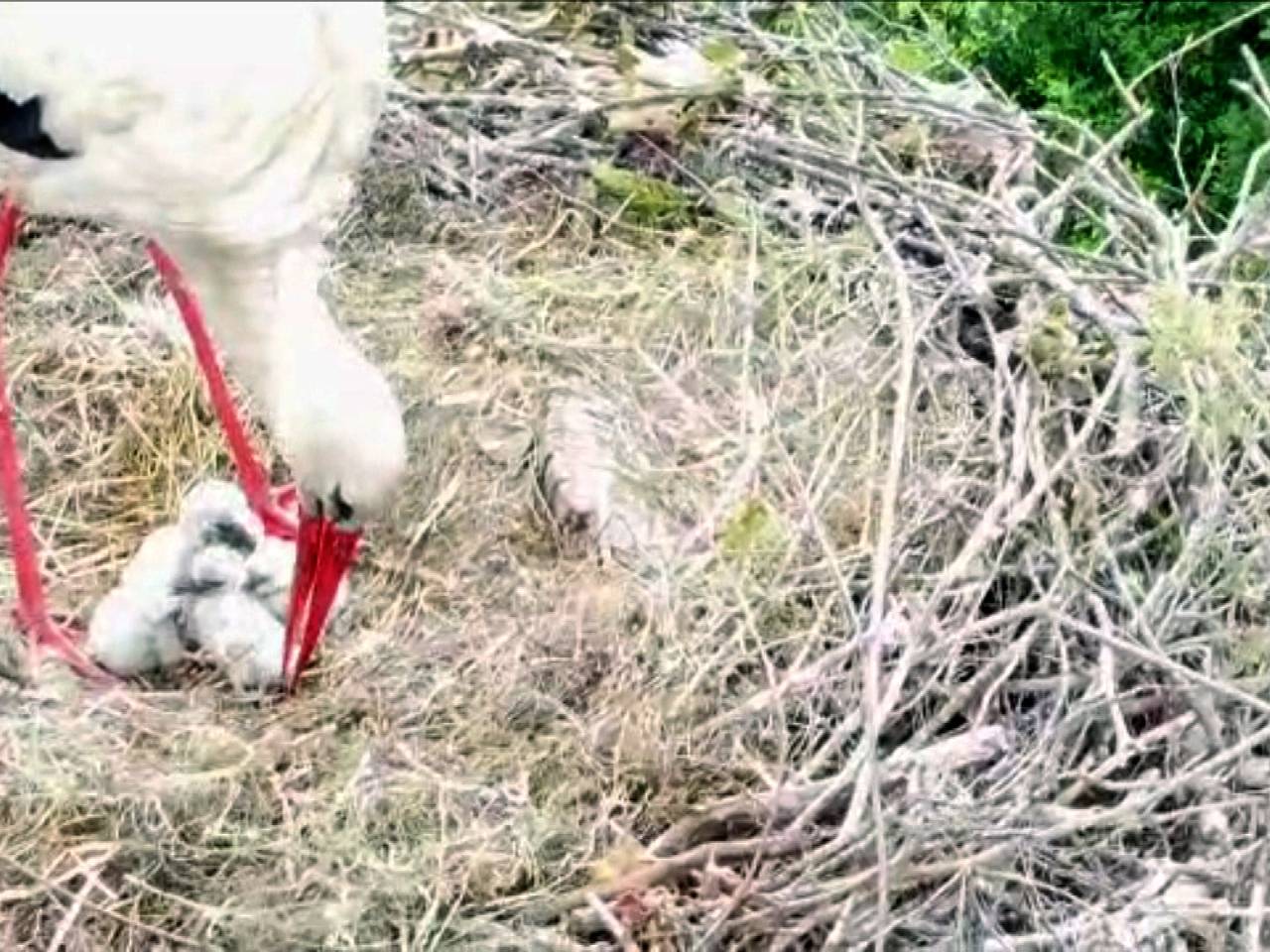 WEB_OOIEVAAR.Copy.01.transfer