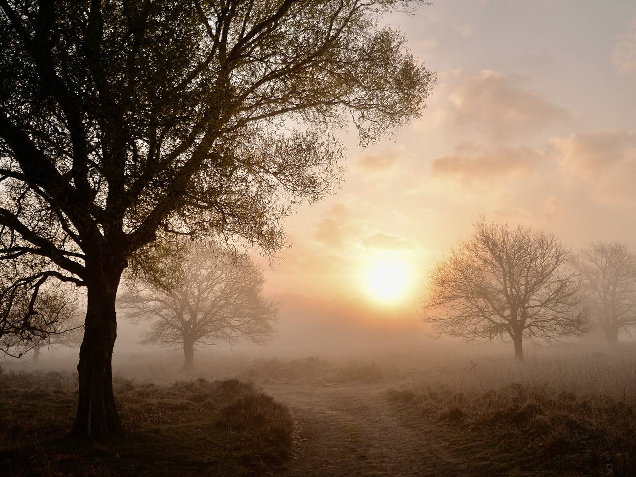 Omroep Brabant