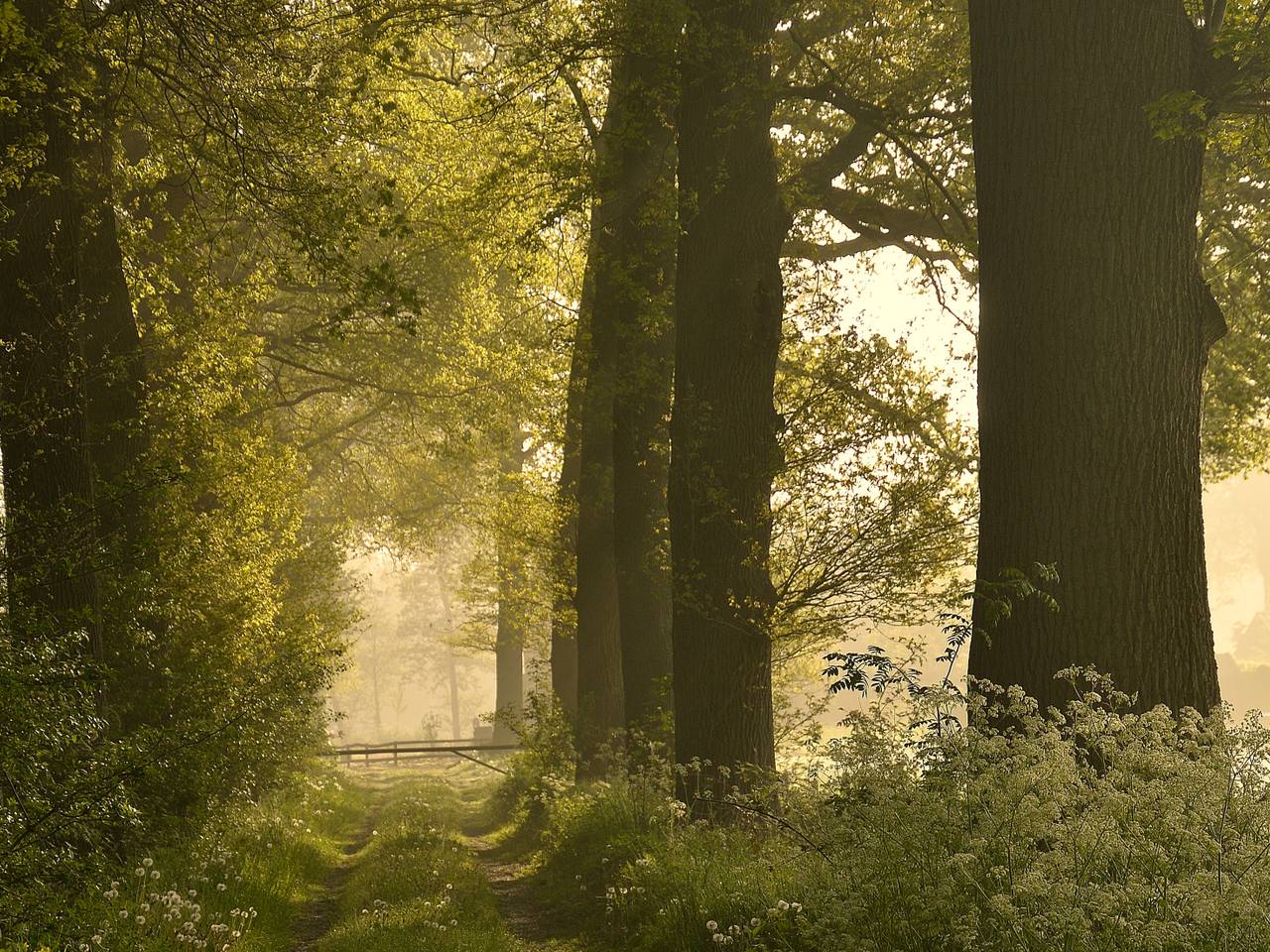 Omroep Brabant