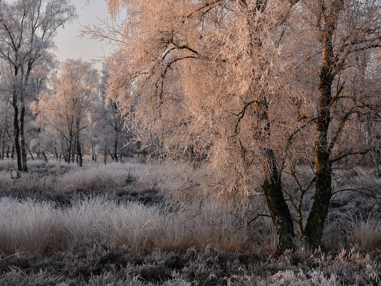 Omroep Brabant
