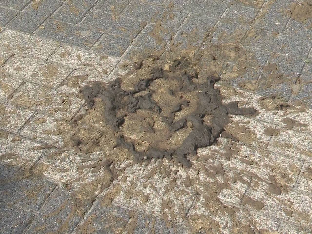 Omroep Brabant