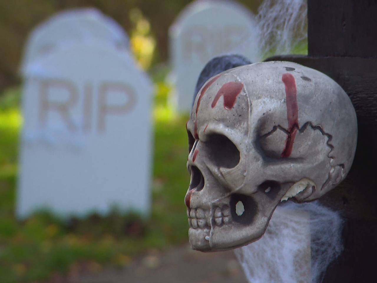 Van spookhuis tot creepy wasstraat: hier moet jij deze Halloween zijn.