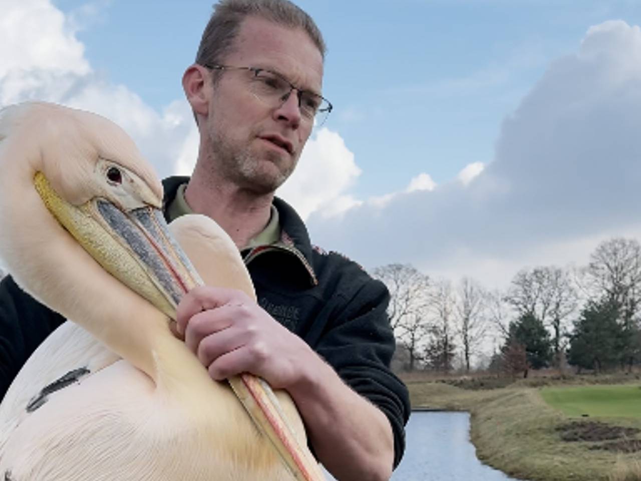 WEB_PELIKAAN.Copy.01.transfer