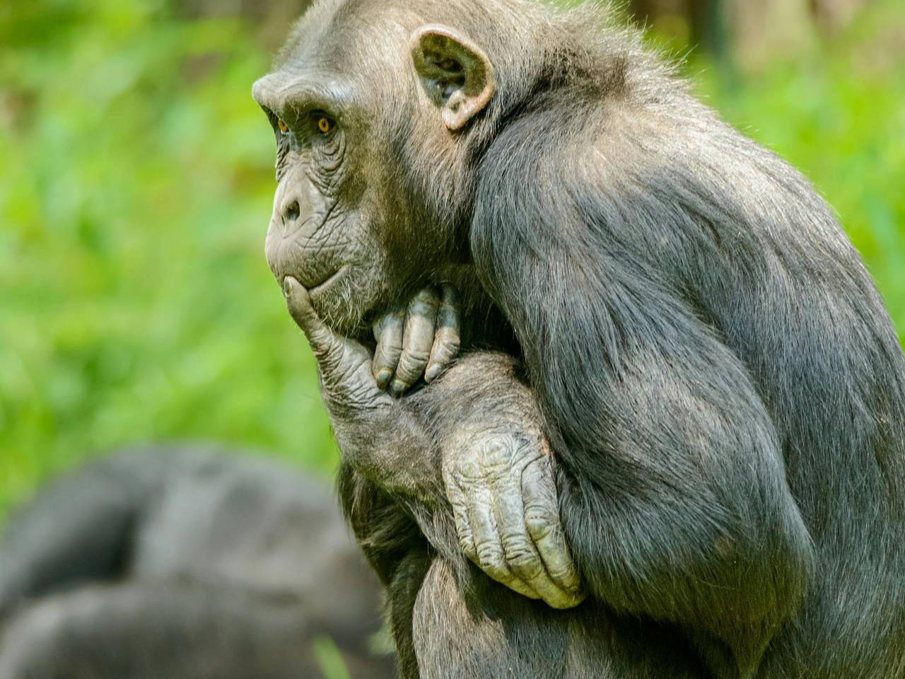 Foto ter illustratie (Pexels).