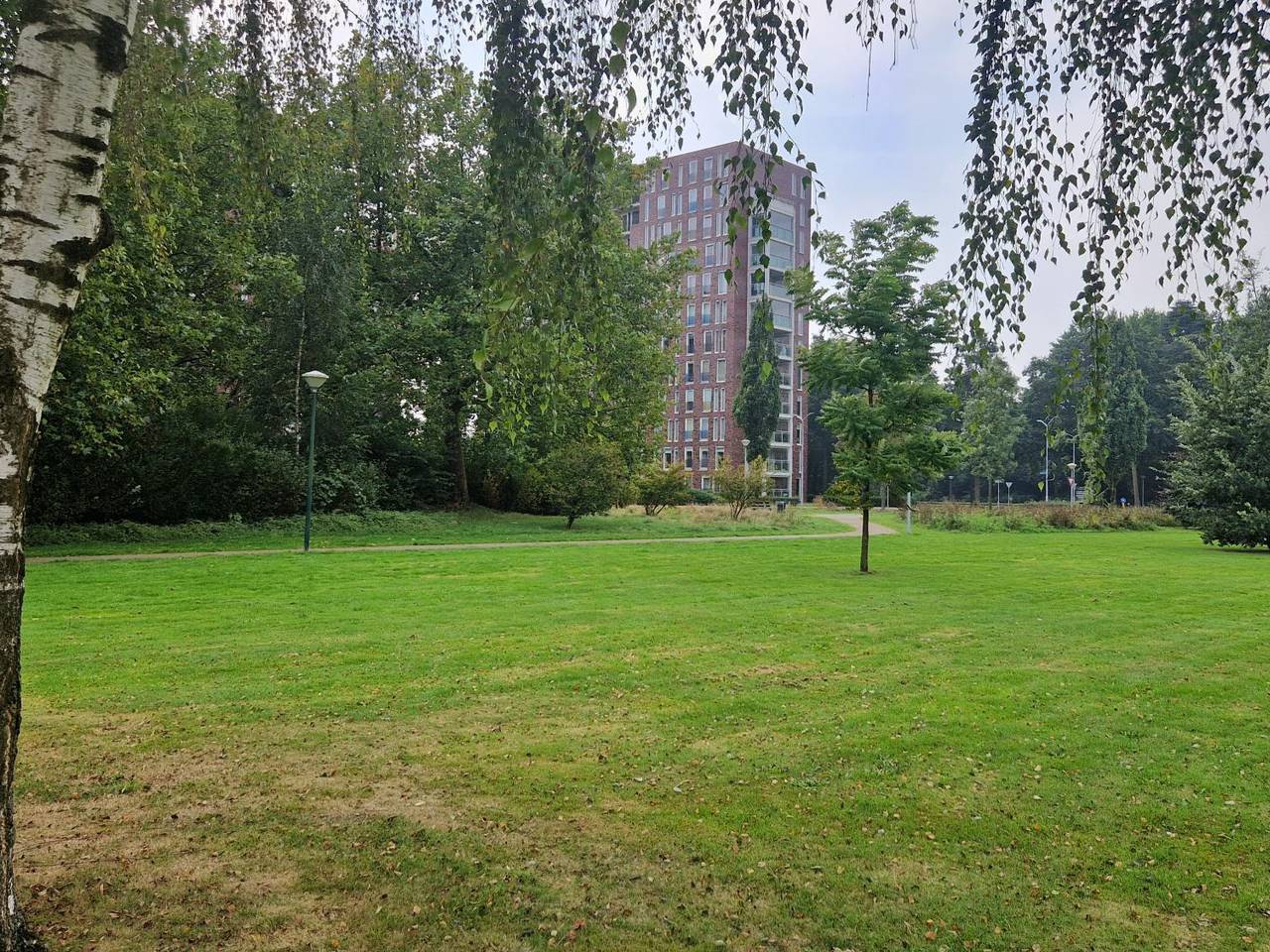 https://api.omroepbrabant.nl/img/f/$width$/$height$/0.5/0.5/bWVkaWEvcHJvZC80NTUzNzg4LmpwZz9zdj0yMDE5LTA3LTA3JnN0PTIwMjAtMDEtMDFUMDAlM0EwMCUzQTAwWiZzZT0yMDQwLTAxLTAxVDAwJTNBMDAlM0EwMFomc3I9YiZzcD1yJnNpZz1mZmJSYzlRT25IU3BQcDY1WmNLSUpqdUxUMmRRd2FmYll6TzVnWUhtTmtRJTNE