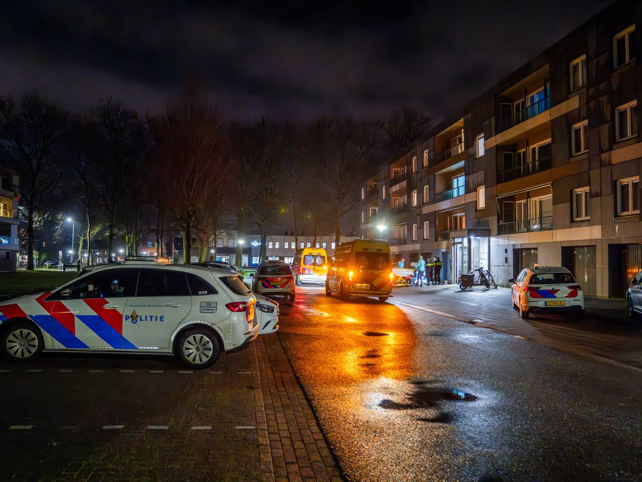 https://api.omroepbrabant.nl/img/f/$width$/$height$/0.5/0.5/bWVkaWEvcHJvZC80NjE5Mzc0LmpwZz9zdj0yMDE5LTA3LTA3JnN0PTIwMjAtMDEtMDFUMDAlM0EwMCUzQTAwWiZzZT0yMDQwLTAxLTAxVDAwJTNBMDAlM0EwMFomc3I9YiZzcD1yJnNpZz15WVRHdFFMcDI1N09SZjlrUnNENjRlREVwdmpJREpSeE1rJTJGMTBBZ1JjTHclM0Q=