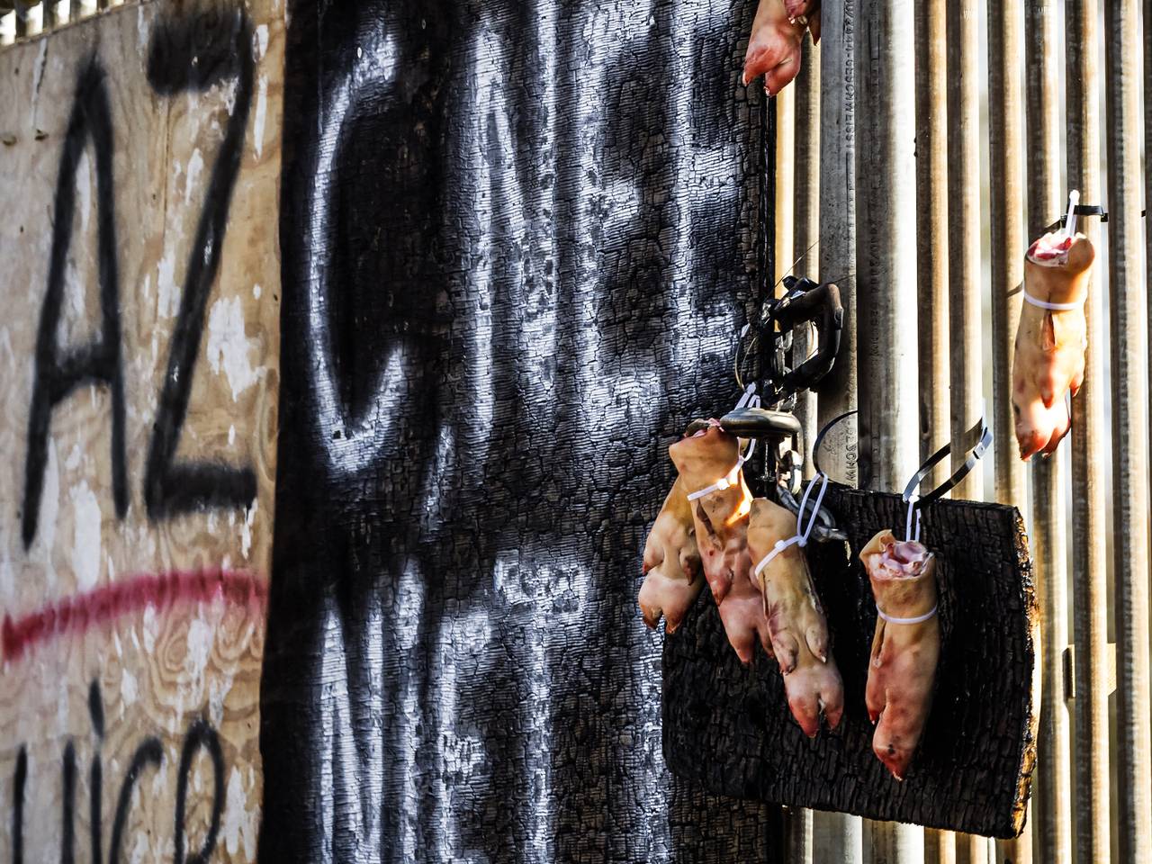 Protestborden en varkenspoten bij een beoogde locatie voor een azc in Berlicum (foto: ANP).