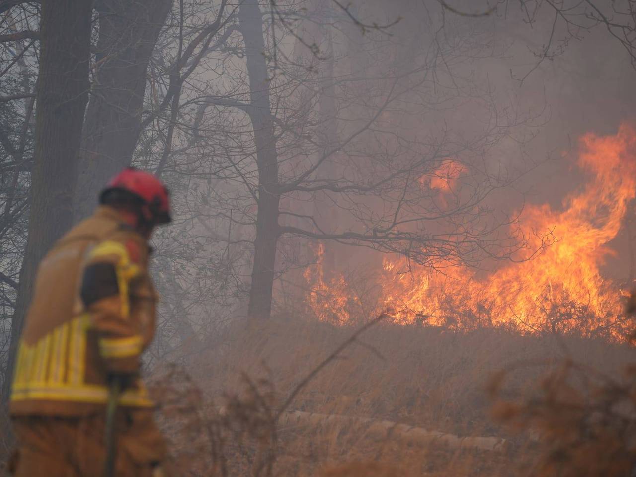 De bosbrand in Drunen (foto: Erik Haverhals/Persbureau Heitink).