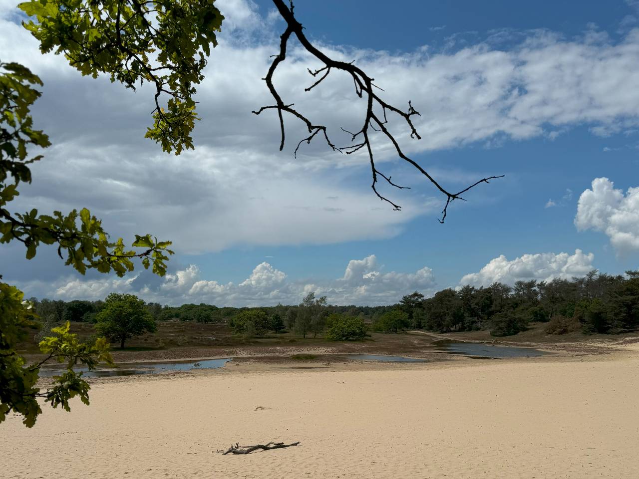 Loonse en Drunense Duinen (foto: Frans Kapteijns).