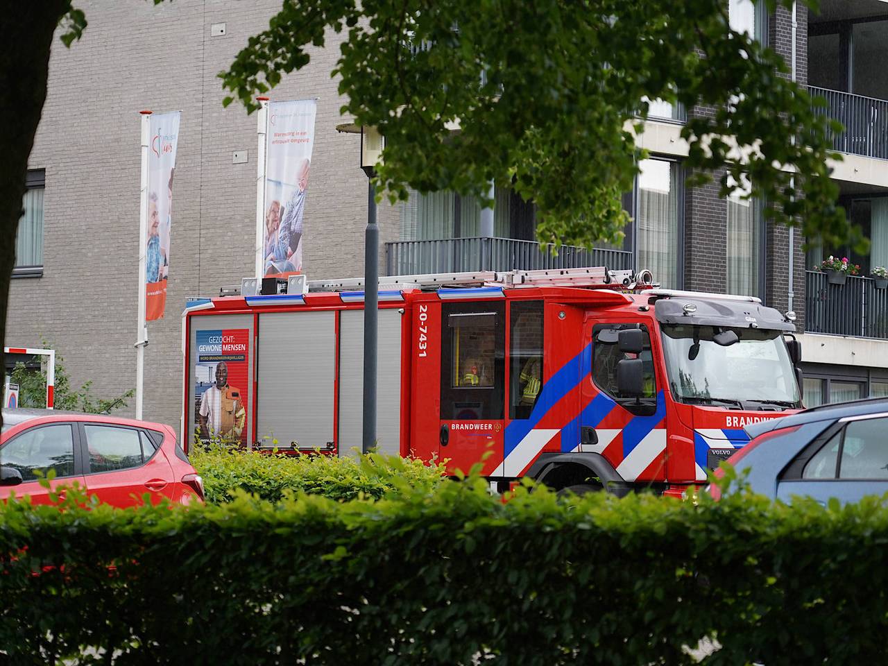 Foto: Jeroen Stuve/Persbureau Heitink.