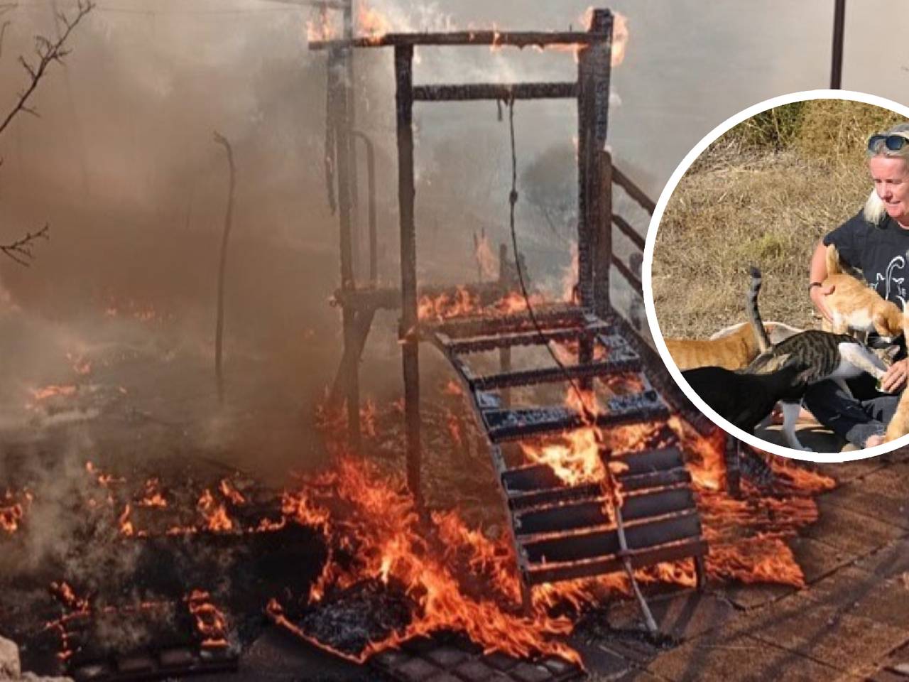 Irene en haar katjes voor de brand (eigen foto).