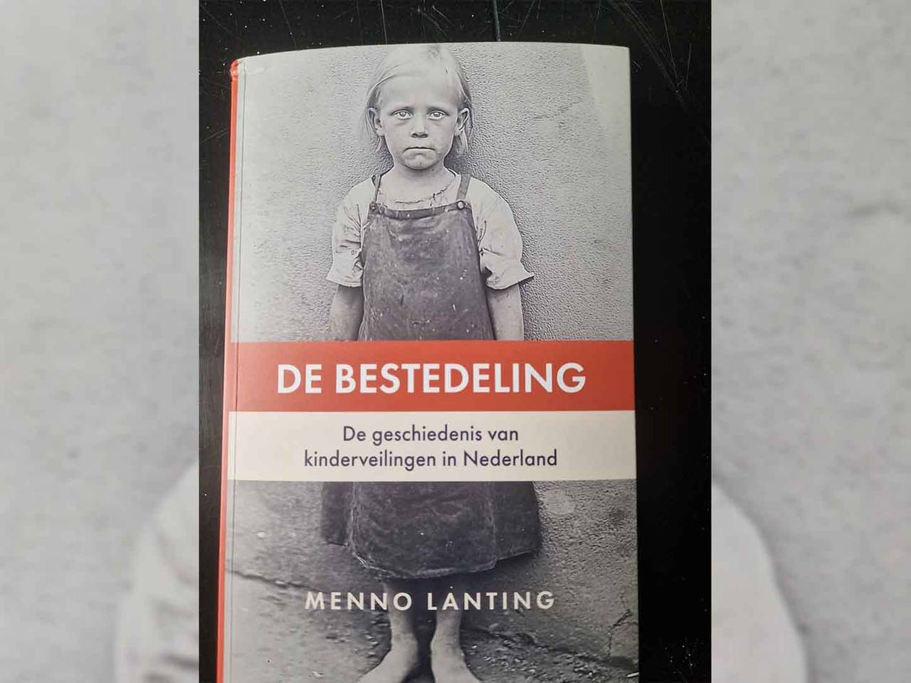 Het boek De Bestedeling van Menno Lanting (foto: Henk van Ingen/Omroep Brabant).