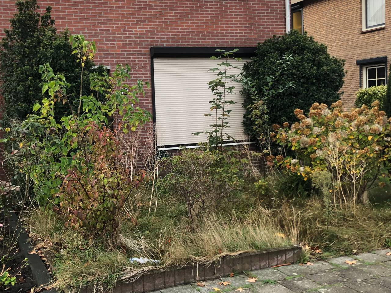 De volle voortuin in Zegge (foto: Willem-Jan Joachems).