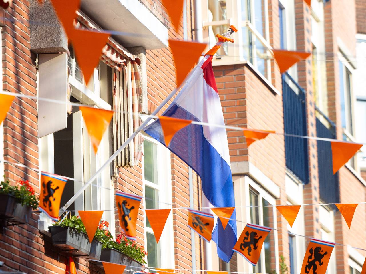 Het comité organiseerde onder meer een festival in Tilburg op Koningsdag (foto: ANP).