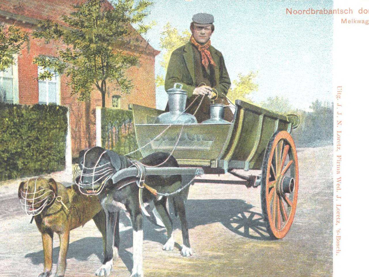 De hondenkar (foto:  Herman de Ruiter/BHIC).