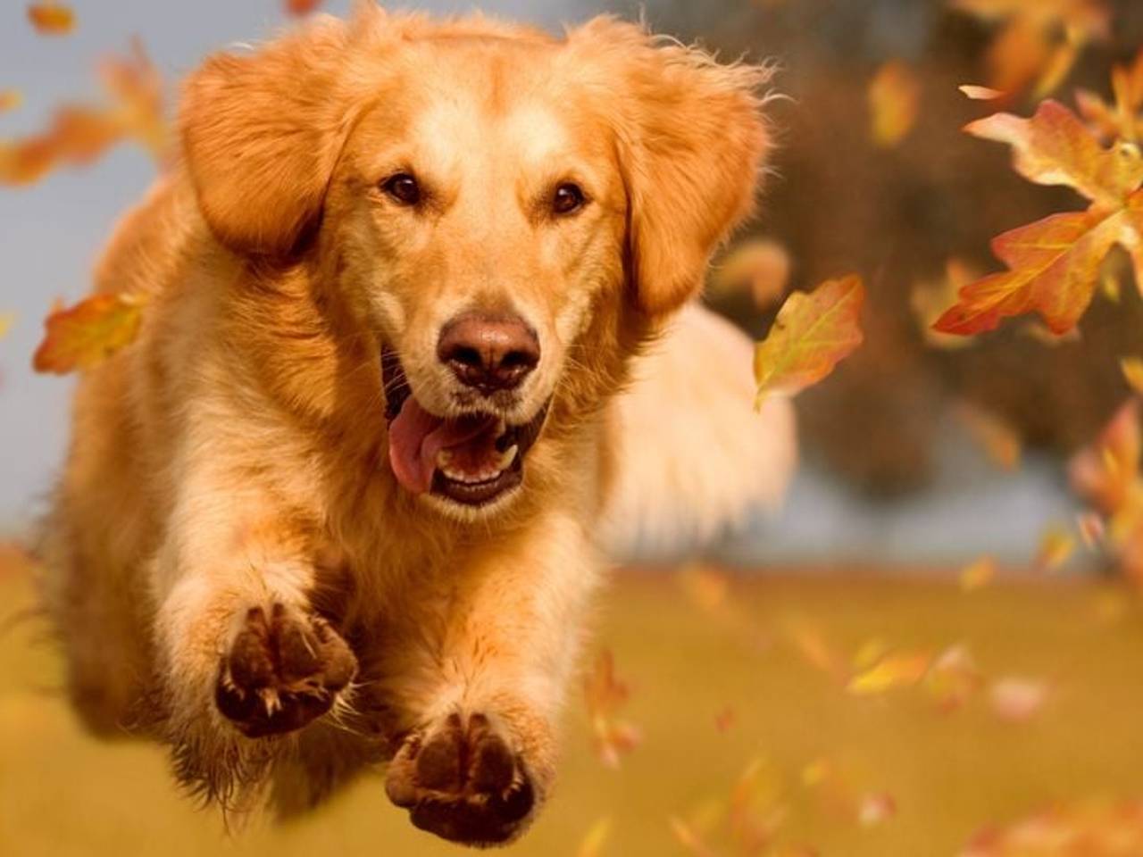 Foto ter illustratie (foto: Shutterstock).