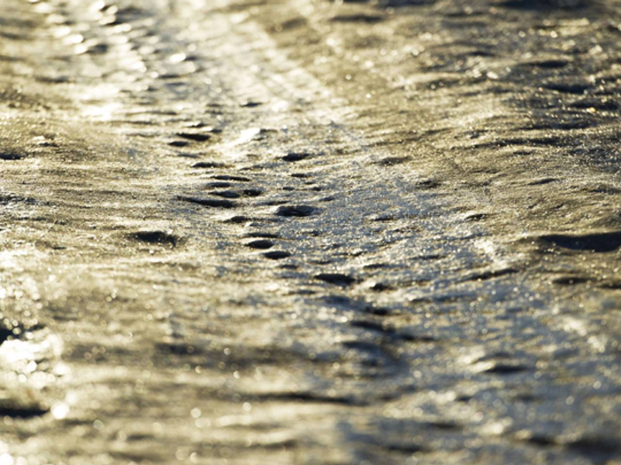 Opnieuw kans op gladde wegen in Brabant (Foto: ANP)