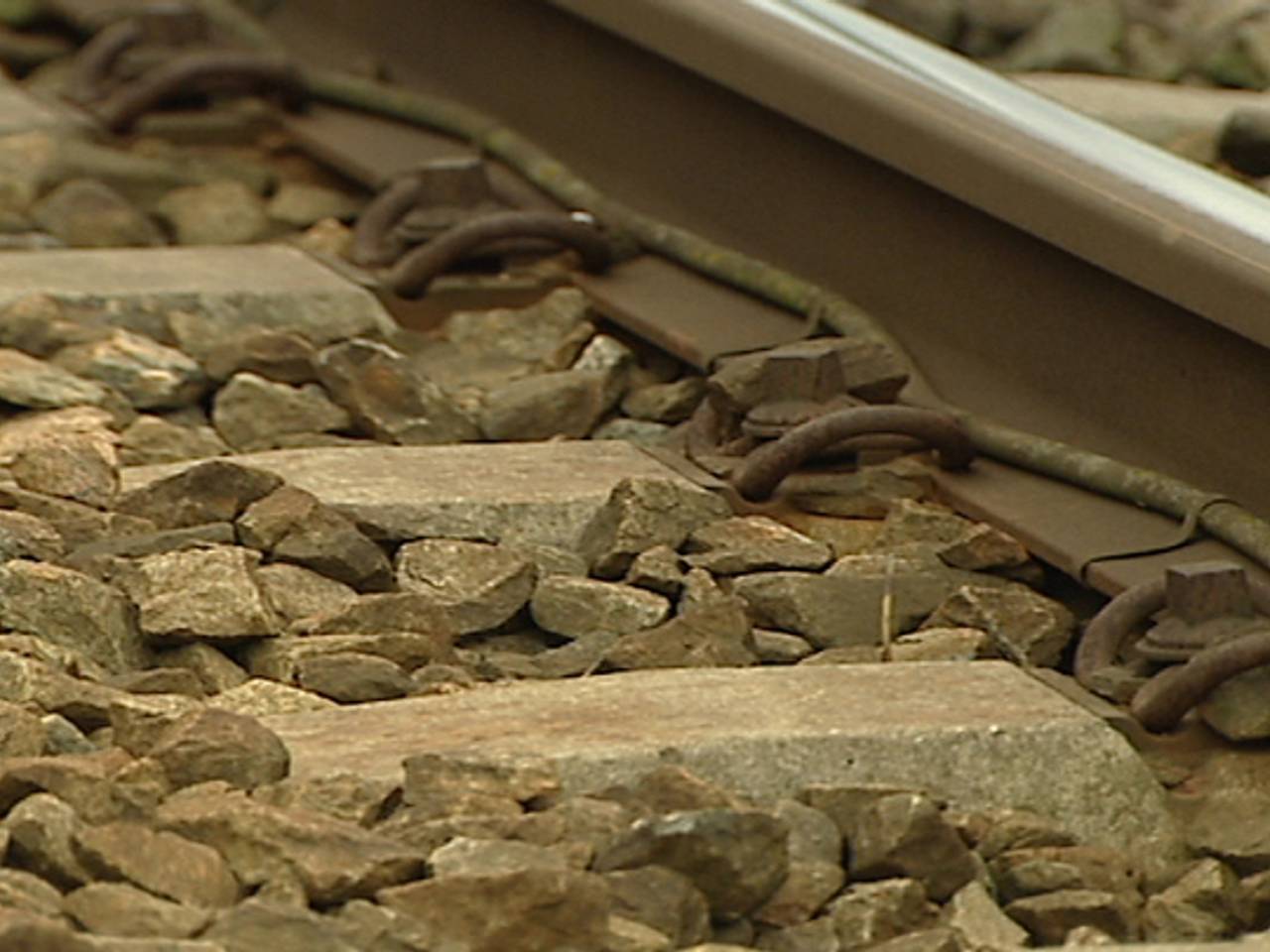 Geen treinen tussen Roosendaal en Antwerpen.